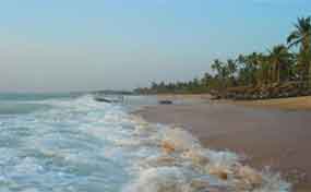 Thiruvananthapuram tour image